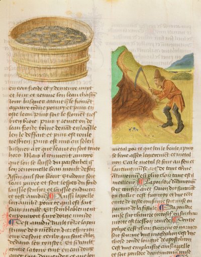 Seeds in a Tub and Searching for Gentian Tubers by French School