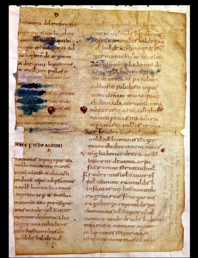 Inventory of Carolingian property ownership, from the Polyptych of the Abbot Irminon of Saint-Germain-des-Pres by French School