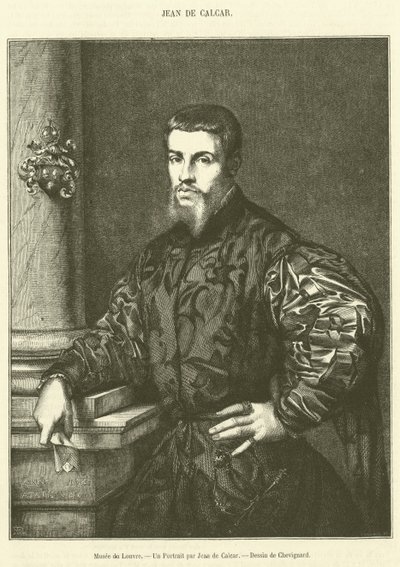 Louvre Museum, A Portrait by Jean de Calcar (engraving) by French School