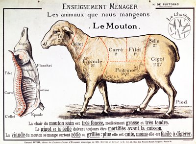 Mutton: diagram depicting the different cuts of meat by French School
