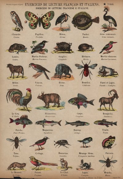 Names of Animals in French and Italian by French School