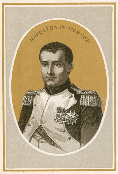 Napoleon I by French School