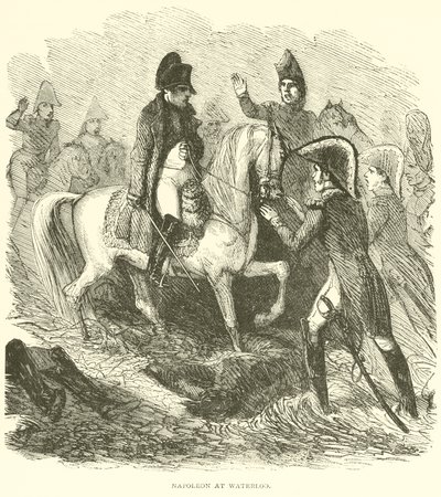 Napoleon at Waterloo by French School