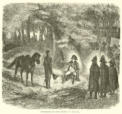 Napoleon in the Forest of Hanau by French School