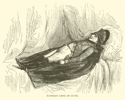 Napoleon Lying in State by French School
