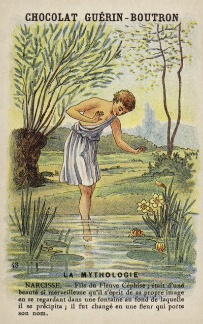 Narcissus by French School