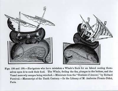 Navigators who have Mistaken a Whale