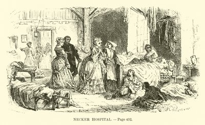 Necker Hospital by French School