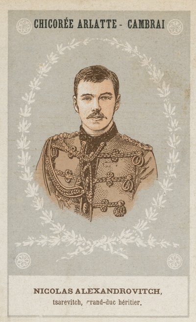 Nicholas Alexandrovich, Tsarevich, Grand Duke Heir by French School