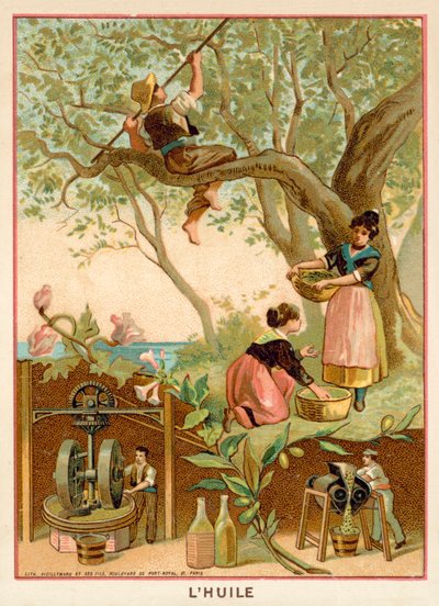 Olive Oil by French School