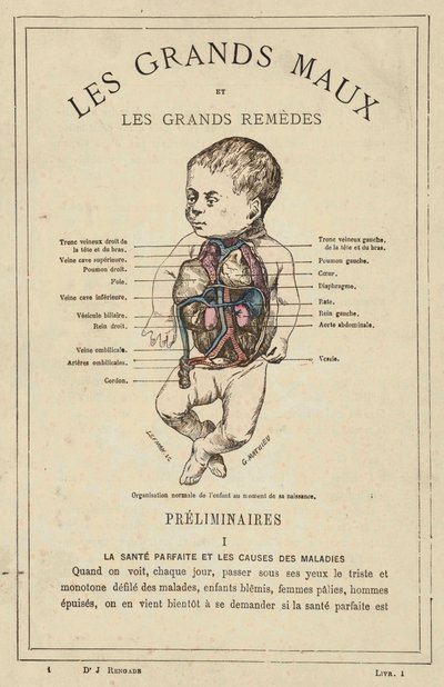 Normal organization of the child at the time of birth by French School