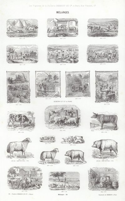 Page from Vignettes Typographiques by French School