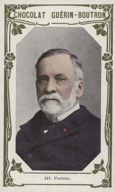 Pasteur by French School