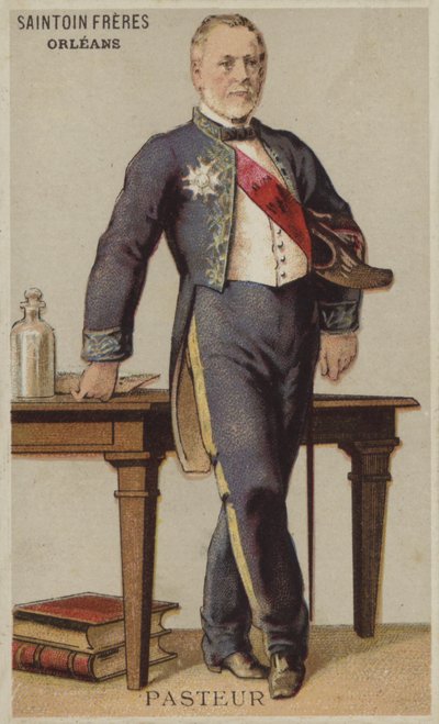 Pasteur by French School