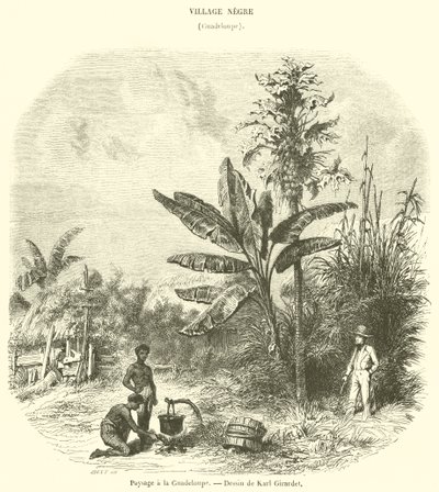 Landscape in Guadeloupe (engraving) by French School