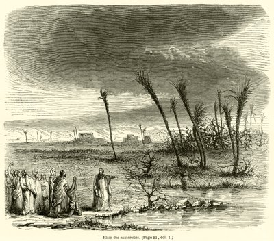 Plague of Locusts by French School