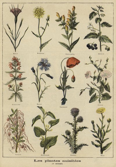 Plants harmful to agriculture by French School