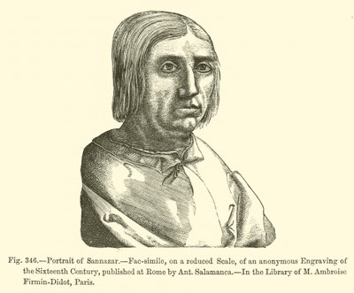 Portrait of Sannazar by French School