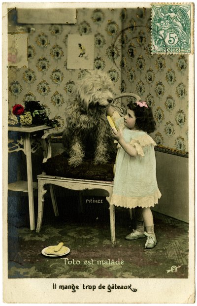 Postcard: Toto is sick, he