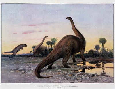 Prehistoric animals: a laelaps attacking a brontosaurus - in The Universe and Humanity by French School