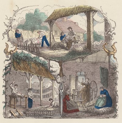 Production of Wool by French School