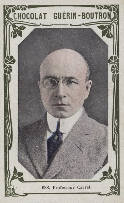 Professor Carrel by French School