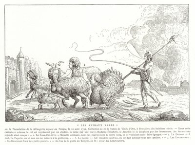 Rare Animals by French School
