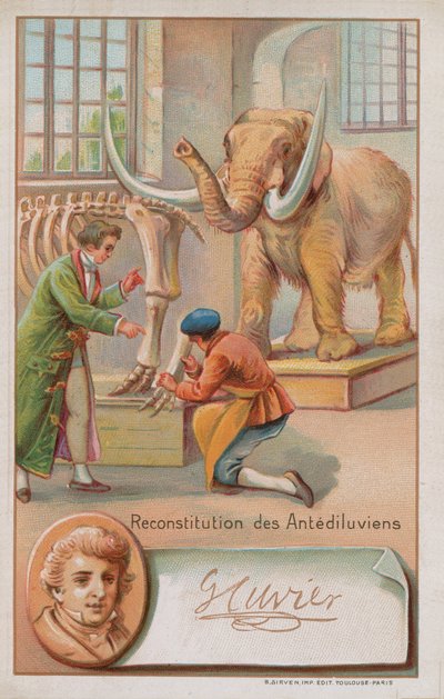 Reconstruction of Antediluvian Period by Georges Cuvier, French Naturalist and Zoologist (1769-1832) by French School