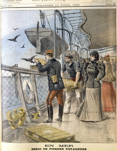 Releasing French Army Homing Pigeons on Board the Transatlantic Liner La Bretagne Between Le Havre and New York by French School