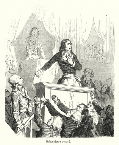 Robespierre Accused by French School