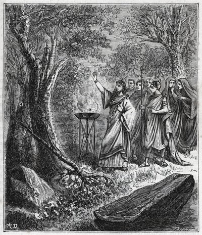STRUFERTARI (festival in ancient Rome to purify the blasted trees) - Engraving in Sciences brought to the grasp of all - popular physics and chemistry by Alexis Clerc - End of 19th century. Private collection. by French School