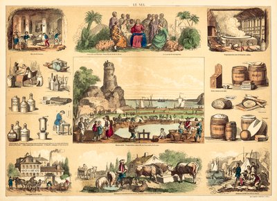 Salt (engraving) by French School