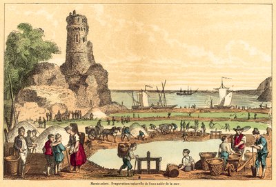 Salt (engraving) by French School