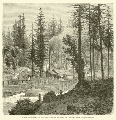 Mechanical Sawmill in a Pine Forest (engraving) by French School