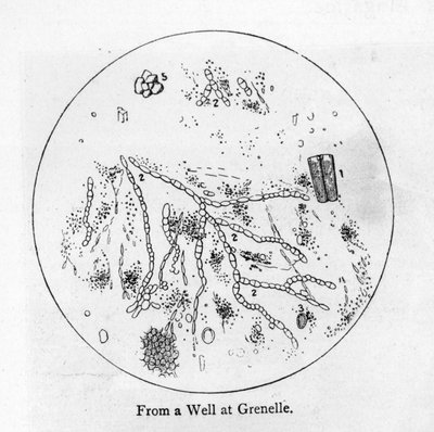 Sediment of water from a well at Grenelle, in the 15th Arrondissement of Paris by French School