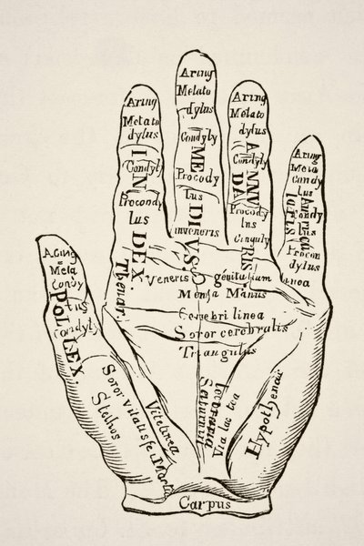 Specimen of the Left Hand with the Lines and Their Horoscopic Denominations, from 