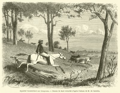 Squatter Gathering His Herds (engraving) by French School