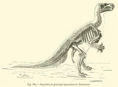 Skeleton of the Main Iguanodon of Bernissart by French School