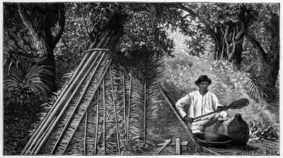 Syringuero engaged in smoking latex forming rubber. 1898 engraving. by French School