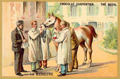 Taking Blood from a Horse by French School