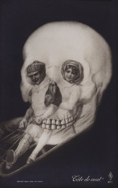 Skull by French School