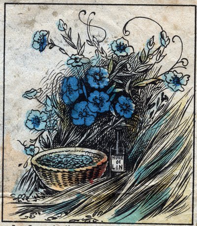 Textile, linen. Flax flower (blue), stem composed of straw and filaments to make linen yarn. Seed uses in medicine and from which oil is extracted for industry. Engraving. Epinal imaging late 19th century. by French School