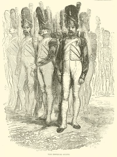 The Imperial Guard by French School