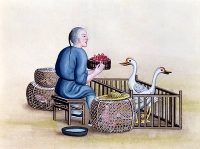 The Poultry Merchant, from a book on the street calls of Peking, c.1785 by French School