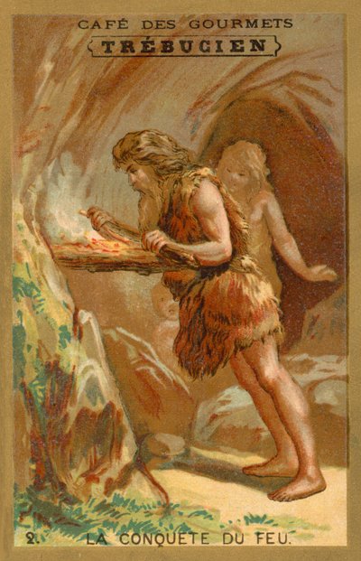 The Conquest of Fire by French School