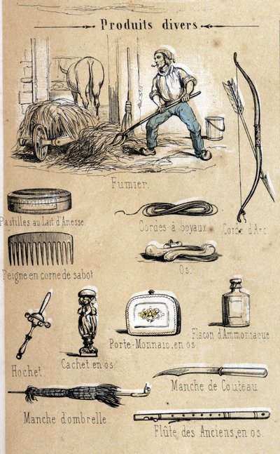The donkey and its products engraving from 1860 in 