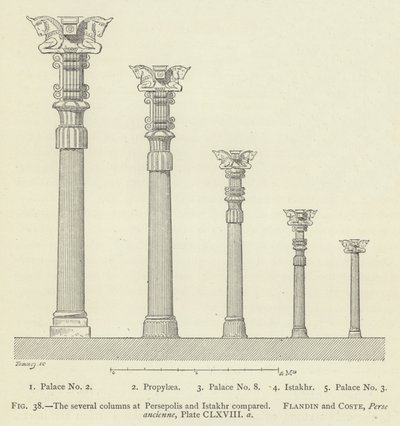 The Several Columns at Persepolis and Istakhr Compared by French School