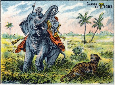 Tiger hunting scene on the back of an elephant. Syllabar alphabet of hunts Imaging of Epinal by French School