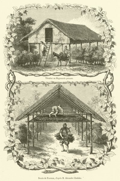 Tilembar or Persian Silkworm House by French School