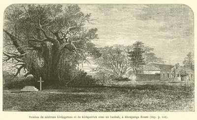 Tombs of Mistress Livingstone and Kirkpatrick under a Baobab, at Shoupanga House by French School